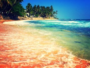 utazás sri lanka